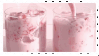 strawberry milk